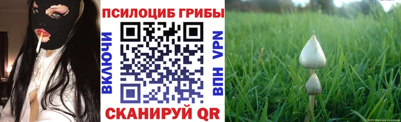 Галлюциногенные грибы прущие грибы  это Telegram  Болгар 